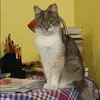 Отзыв от Ксения Владимирова